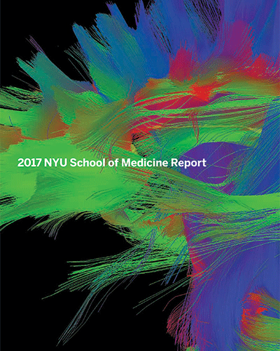 School of Medicine 2017 Report